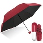 Зонт Mini Pocket Umbrella в капсуле (карманный зонт)